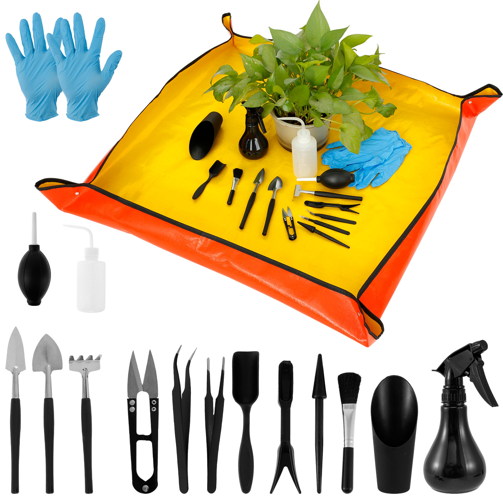 13/16Pcs Garden Succulent Plan - Bonsai Zen Garden Set 评论和价格