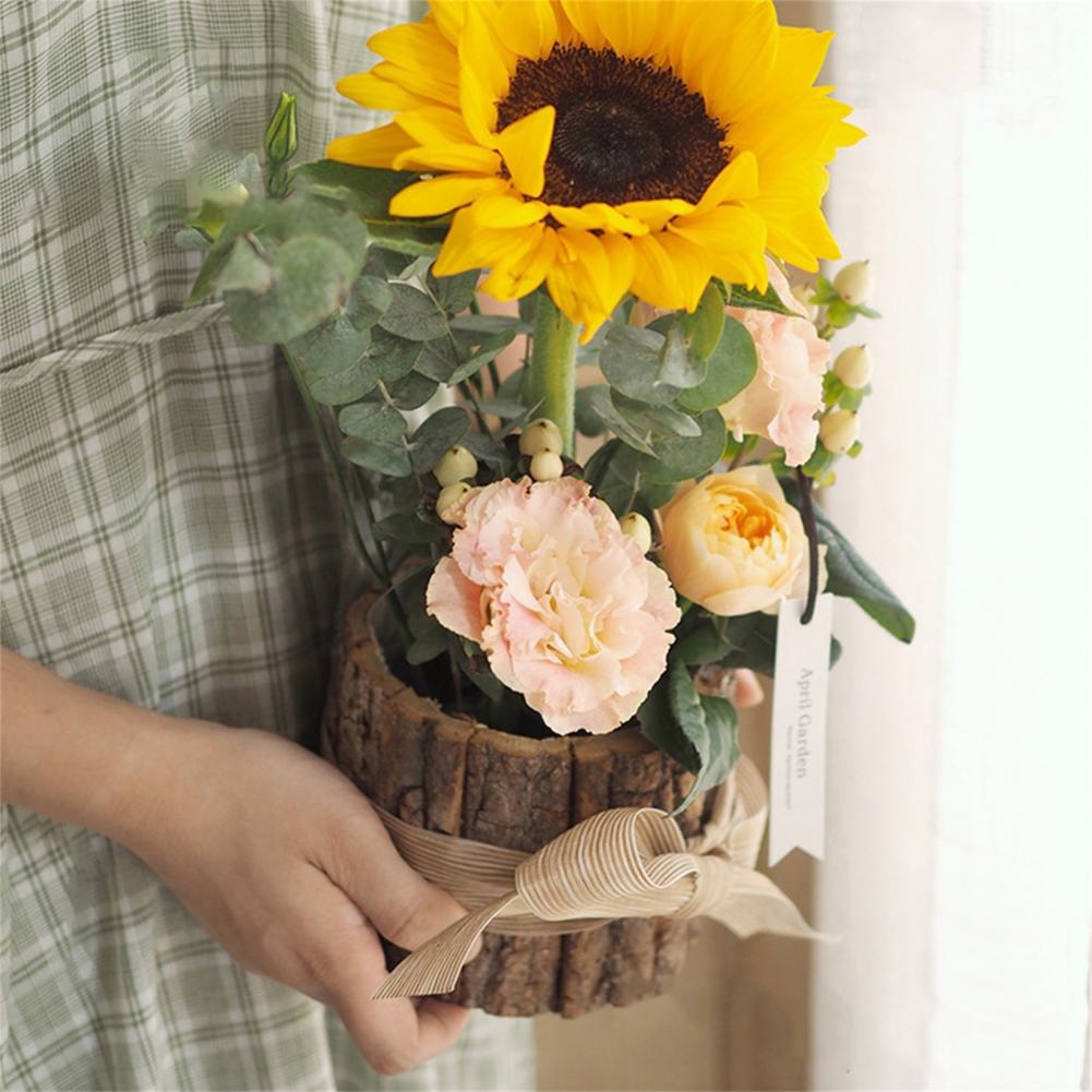 Creative Flower Pot Vintage Pl - Bonsai Tree Zen Garden 评论和价格