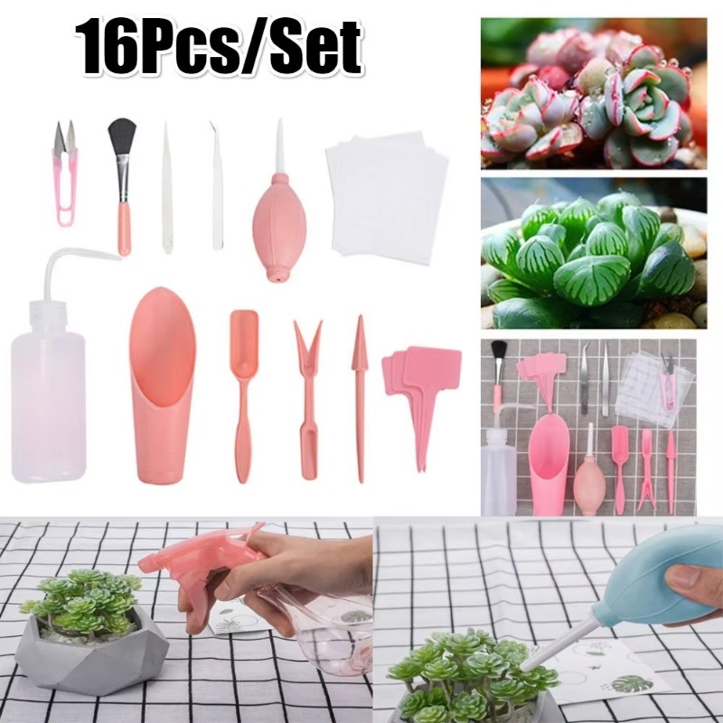 2026 Mini Gardening Hand Tools - Bonsai Zen Garden Set 评论和价格