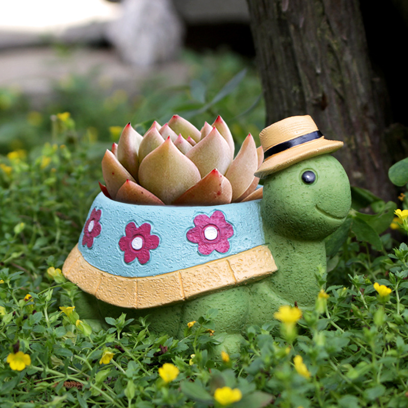 Cartoon Turtle Succulent Flowe - Bonsai Tree Zen Garden 评论和价格