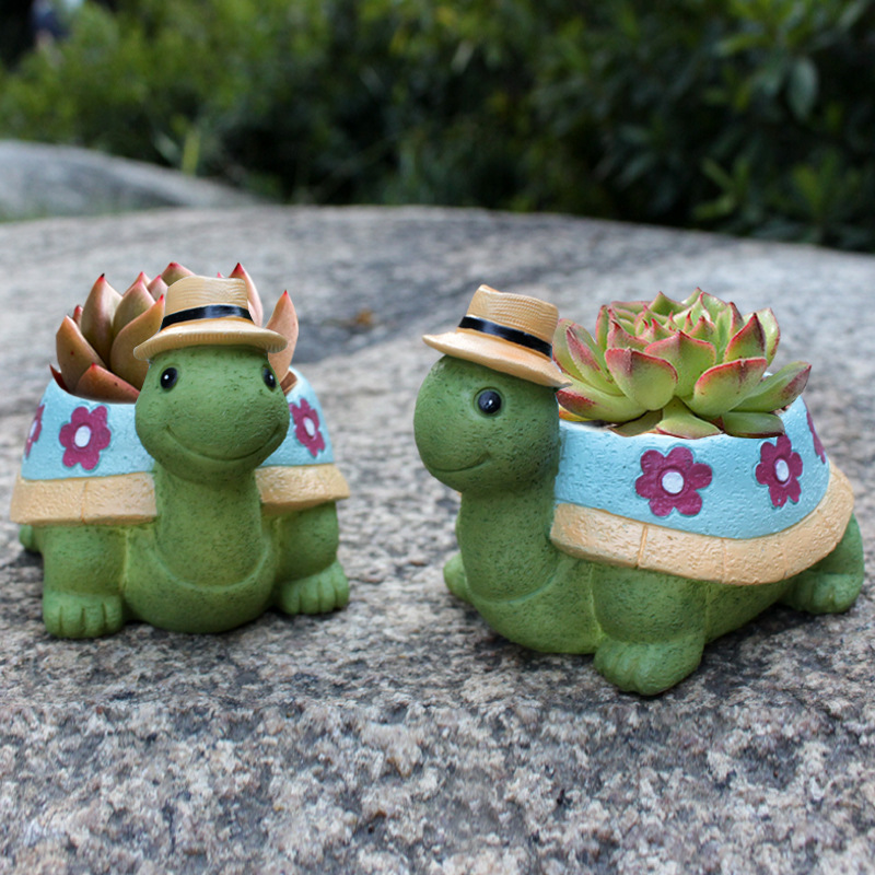 Cartoon Turtle Succulent Flowe - Bonsai Tree Zen Garden 评论和价格