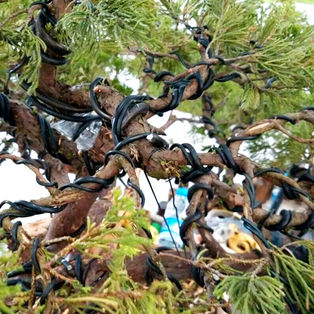 4 Rolls Bonsai Wire Set Anodiz - Bonsai Zen Garden Set 评论和价格