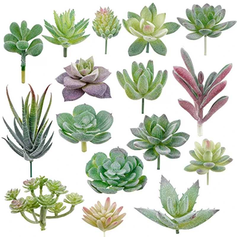 10/20Pcs PVC Succulents Plants - Bonsai Garden For Home 评论和价格